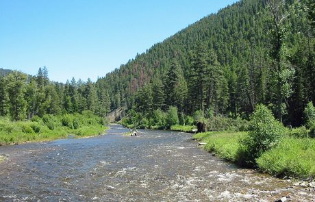 Upper Rock Creek in Montana