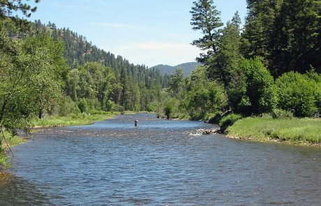 Upper Rock Creek in Montana