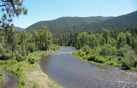 Upper Rock Creek in Montana