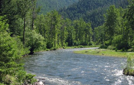 Lower Rock Creek in Montana