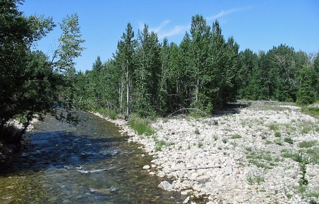 Rock Creek in Southern Montana