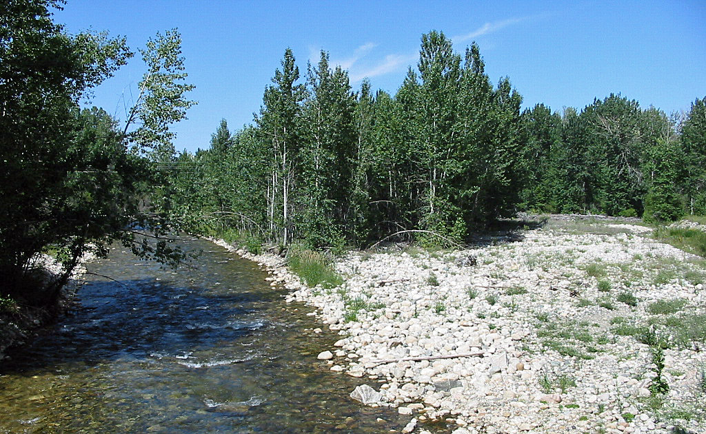 Rock Creek in Southern Montana