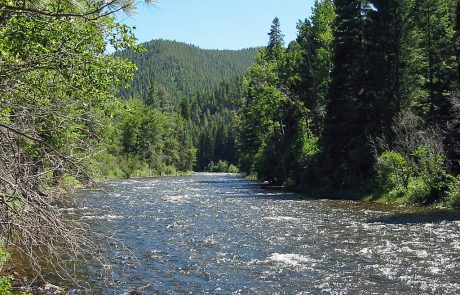 Upper Rock Creek in Montana