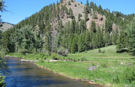 Upper Rock Creek in Montana