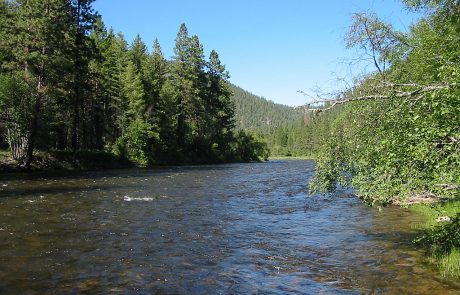 Middle Section of Rock Creek in Montana