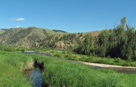 Upper Rock Creek in the Phillipsburg Valley