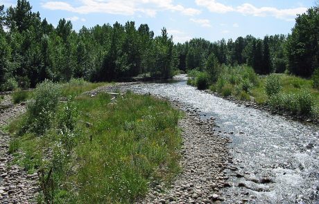 Rock Creek in Southern Montana