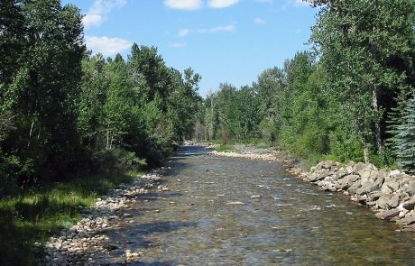 Rock Creek in Southern Montana
