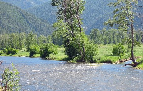 Lower Rock Creek in Montana