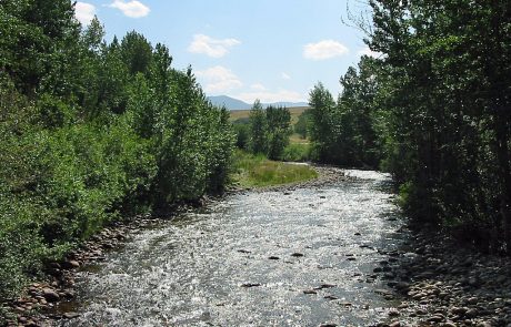 Rock Creek in Southern Montana