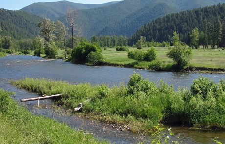 Lower Rock Creek in Montana