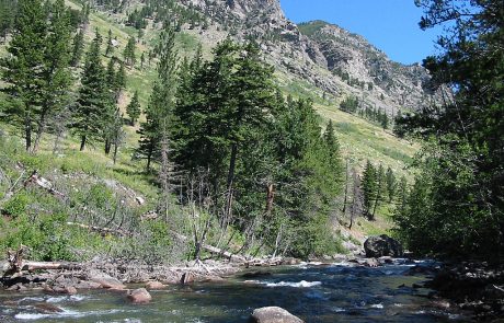 East Rosebud Creek in the Mountains