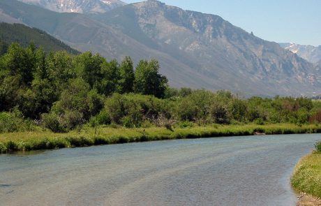 The Scenic and Seldom Fished Rosebud Creek in Montana