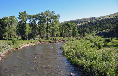 Ruby River in Montana