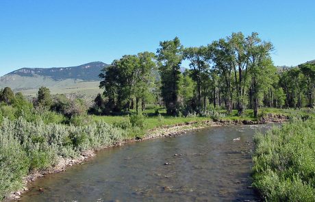 Ruby River in Montana