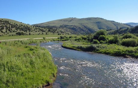 Ruby River in Montana