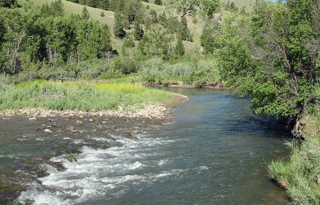 Ruby River in Montana