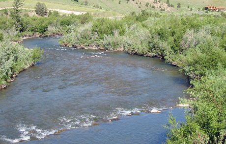 Ruby River in Montana