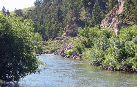 Ruby River in Montana