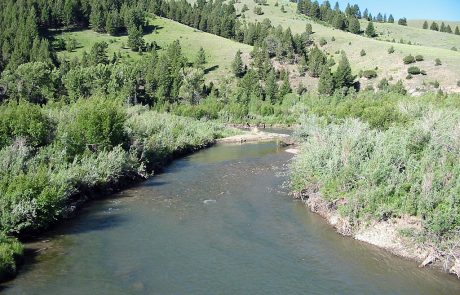 Ruby River in Montana