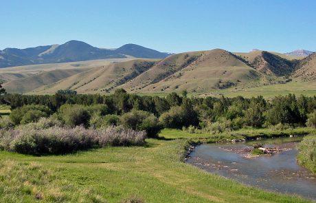 Ruby River in Montana