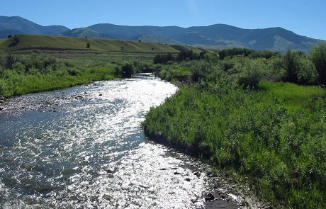 Ruby River in Montana