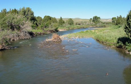 Ruby River in Montana