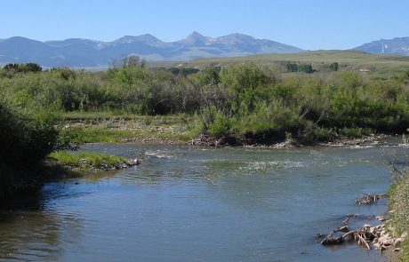 Ruby River in Montana