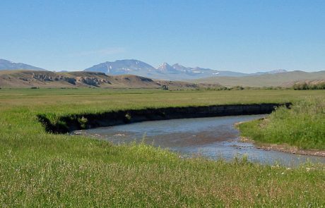 Ruby River in Montana