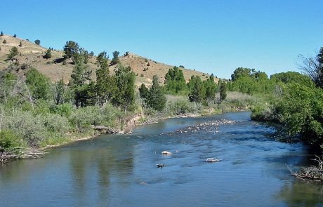 Ruby River in Montana