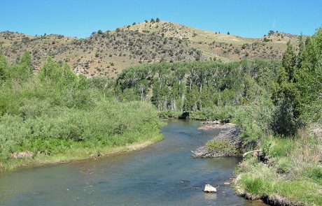 Ruby River in Montana