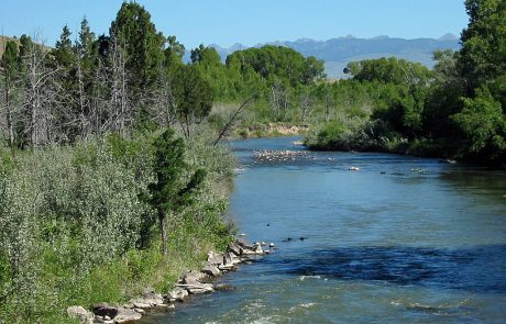 Ruby River in Montana