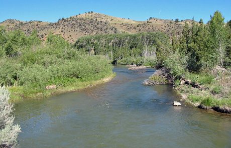 Ruby River in Montana