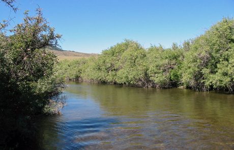 Ruby River in Montana