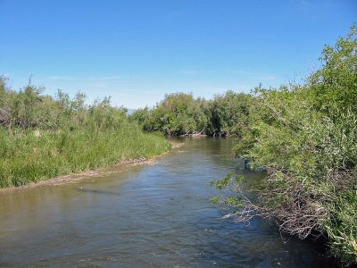 Ruby River in Montana