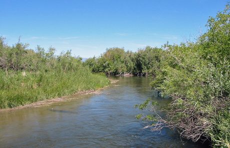 Ruby River in Montana