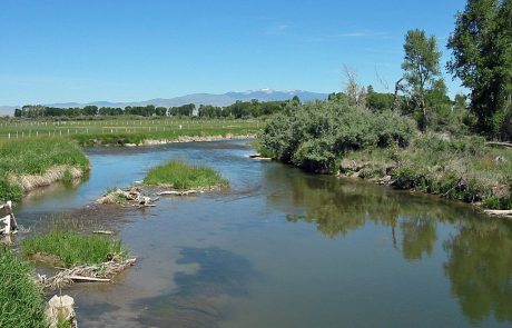 Ruby River in Montana