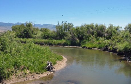 Ruby River in Montana