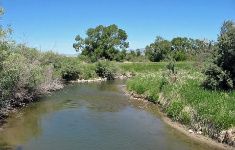 Ruby River in Montana