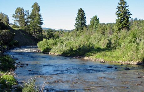 Ruby River in Montana