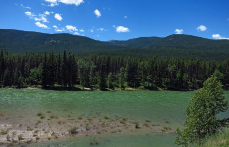 South Fork Flathead River