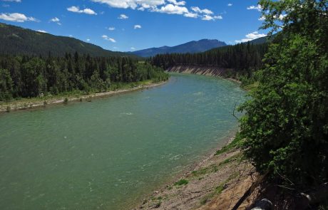 South Fork Flathead River