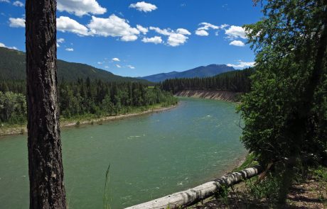 South Fork Flathead River