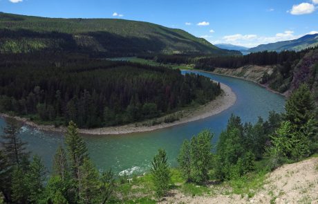 South Fork Flathead River