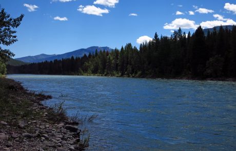 South Fork Flathead River