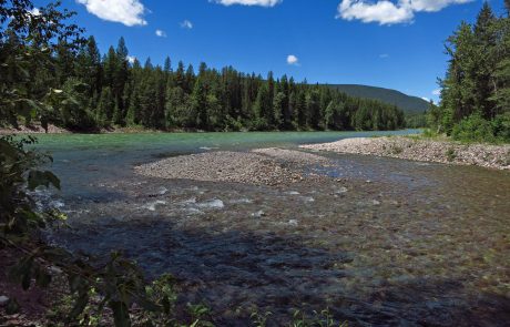 South Fork Flathead River