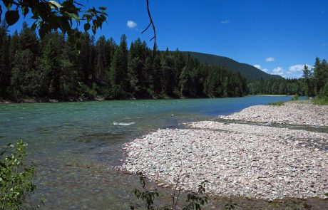 South Fork Flathead River