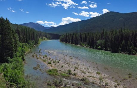 South Fork Flathead River