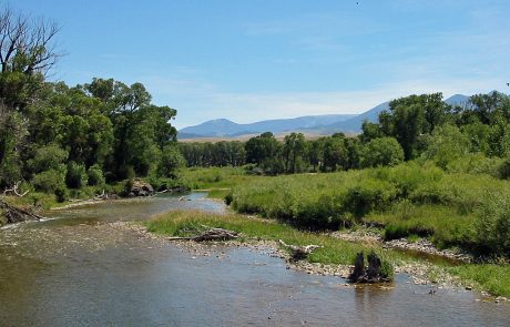 Shields River in Montana