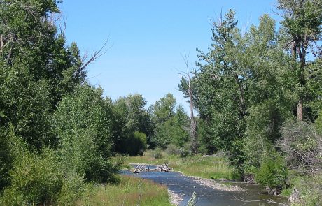 Shields River in Montana